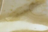 Polished Mookaite Jasper Slab - Australia #110281-1